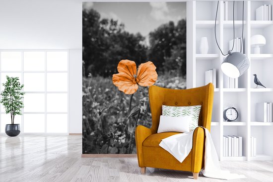 Papier peint - Papiers Papier peint photo Fleurs - Zwart - Wit - Oranje - Largeur 225 cm x Hauteur 350 cm