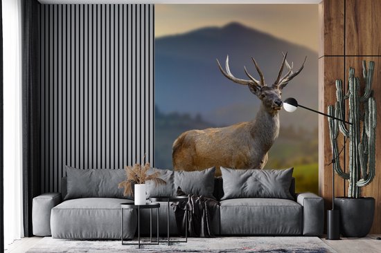 Behang - Fotobehang Hert - Berg - Gras - Zonsondergang - Dieren - Natuur - Breedte 165 cm x hoogte 220 cm