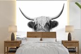 Behang - Fotobehang Dieren - Schotse hooglander - Koe - Zwart - Wit - Breedte 240 cm x hoogte 240 cm