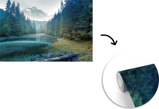 Behang - Fotobehang Bos - Gras - Bergen - Bomen - Natuur - Breedte 525 cm x hoogte 350 cm