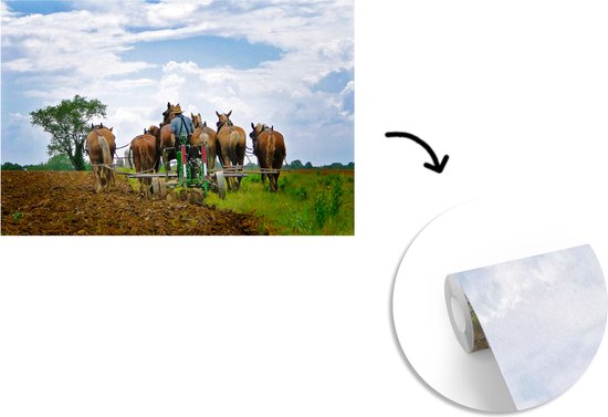 Papier peint photo vinyle - Un fermier amish laboure sa terre avec des chevaux de largeur 405 cm x hauteur 260 cm - Tirage photo sur papier peint (disponible en 7 tailles)