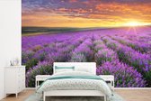 Behang - Fotobehang Lavendel - Wolken - Lente - Breedte 360 cm x hoogte 240 cm