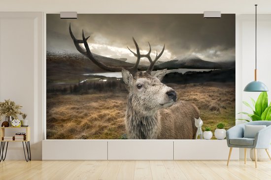 Papier peint photo peint photo vinyle - Gros plan cerf largeur 360 cm x hauteur 240 cm - Tirage photo sur papier peint (disponible en 7 tailles)
