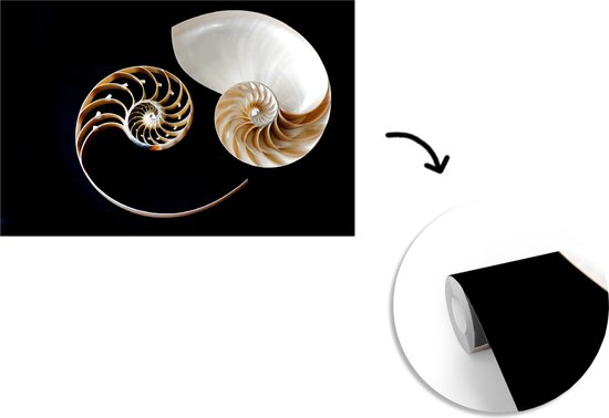 Symbole Yin et Yang de fotobehang escargot