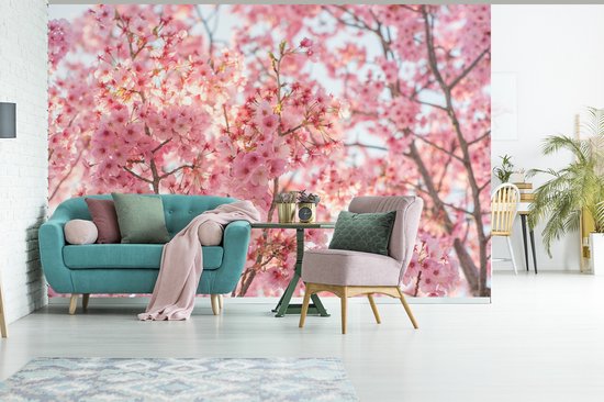 Papier peint Papier peint photo en vinyle - Fleur de cerisier au Japon largeur 420 cm x hauteur 280 cm - Tirage photo sur papier peint (disponible en 7 tailles)