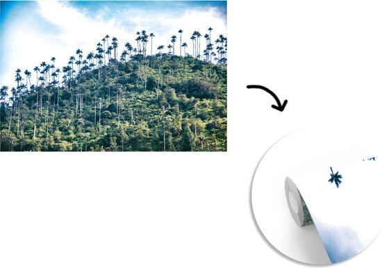 Papier peint Papier peint photo en vinyle - Berg aux arbres en Colombie largeur 420 cm x hauteur 280 cm - Tirage photo sur papier peint (disponible en 7 tailles)