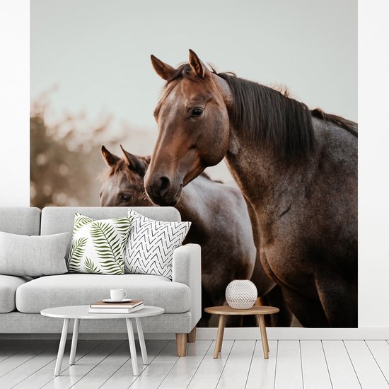 Papier Peint - Papier Papier peint photo Paarden - Nature - Marron - Largeur 240 cm x Hauteur 240 cm