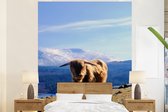 Behang - Fotobehang Schotse hooglander - Licht - Berg - Breedte 225 cm x hoogte 280 cm