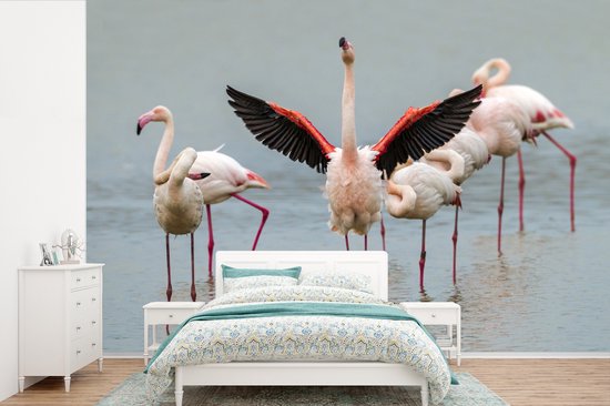 Flamingo qui s'étend 330x220 cm