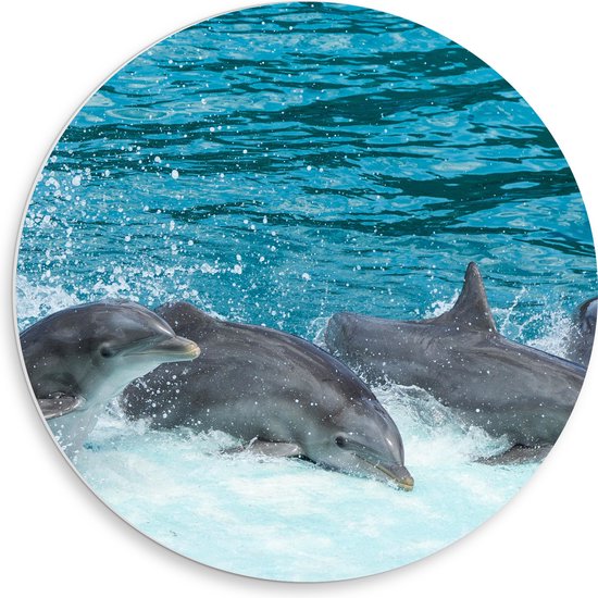 WallClassics - PVC Schuimplaat Muurcirkel - Dolfijnen zwemmend in het Water - Tuimelaar - 50x50 cm Foto op Muurcirkel (met ophangsysteem)