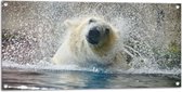 WallClassics - Tuinposter – Uitschuddende IJsbeer in het Meer - 100x50 cm Foto op Tuinposter (wanddecoratie voor buiten en binnen)