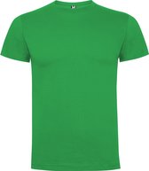 Iers Groen 2 pack t-shirts Roly Dogo maat 6 110-116