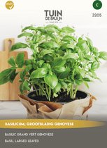 Tuin de Bruijn® zaden - Basilicum grootbladig Genovese - Hoge opbrengst - eenvoudige teelt