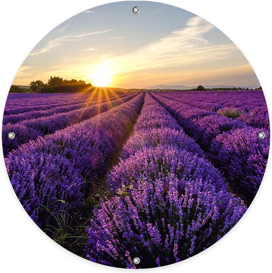 Ronde Tuinposter Lavendel Bloemenveld