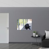 WallClassics - Affiche brillante - Chien couché sur le trottoir - Photo 100x75 cm sur papier poster brillant