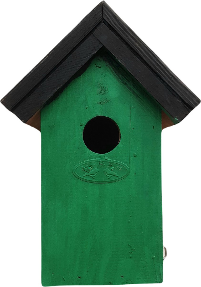 Houten vogelhuisje/nestkastje 22 cm - in het zwart/groen maken - Dhz schilderen pakket - 2x tubes verf en kwasten
