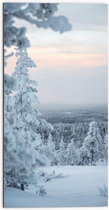 WallClassics - Dibond - Uitzicht over Wit Sneeuwlandschap - 50x100 cm Foto op Aluminium (Met Ophangsysteem)