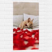 WallClassics - Muursticker - Hondje op Bed met Rode Rozenblaadjes - Franse Buldog - 50x100 cm Foto op Muursticker