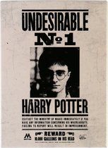 Harry Potter - Ongewenste No1 Metalen Magneet