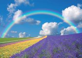 Fotobehang - Vlies Behang - Regenboog - Bloemen - Lavendel - Natuur - 254 x 184 cm