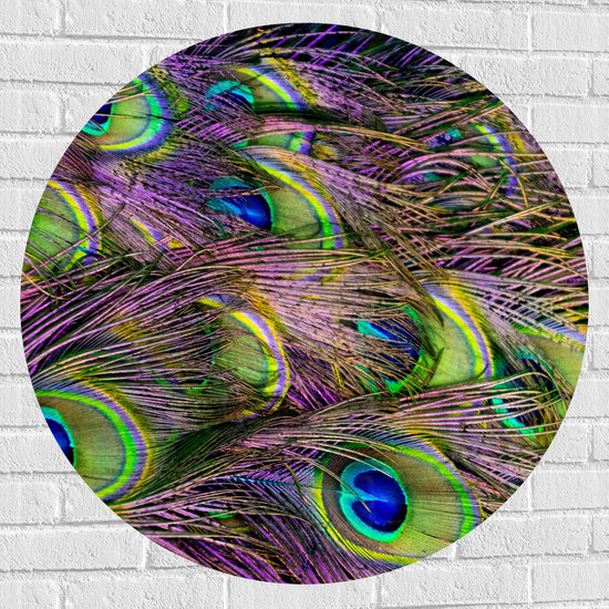 Muursticker Cirkel - Gekleurde Pauwen Veren - 90x90 cm Foto op Muursticker
