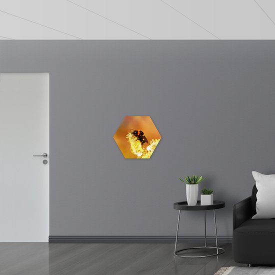 Dibond Hexagon - Kleine Bij Bestuift Gele Bloem - 60x52.2 cm Foto op Hexagon (Met Ophangsysteem)