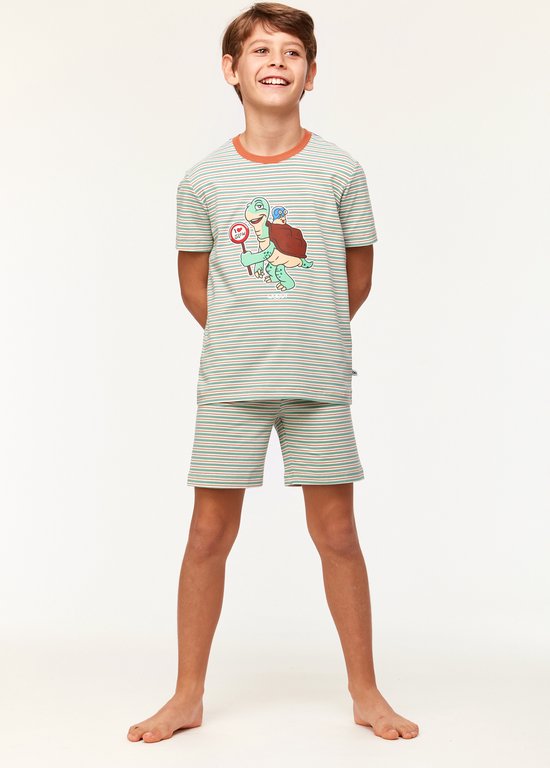Woody pyjama jongens/heren - multicolor gestreept - schildpad - 231-1-PZA-Z/914 - maat 164