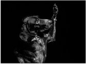 WallClassics - Poster Glanzend – Zwarte Hond Zegt 'Hoi' - 40x30 cm Foto op Posterpapier met Glanzende Afwerking