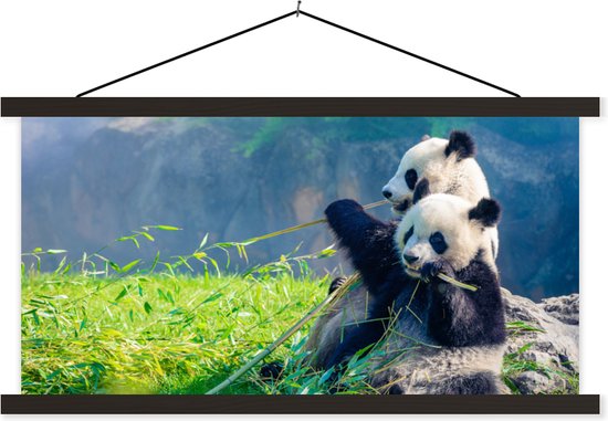 Porte-affiche avec affiche - Affiche scolaire - Panda - Bamboe - Herbe - Animaux - 60x30 cm - Lattes noires