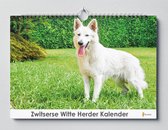 Zwitserse Witte Herder Kalender - Verjaardagskalender - 35x24cm - Huurdies