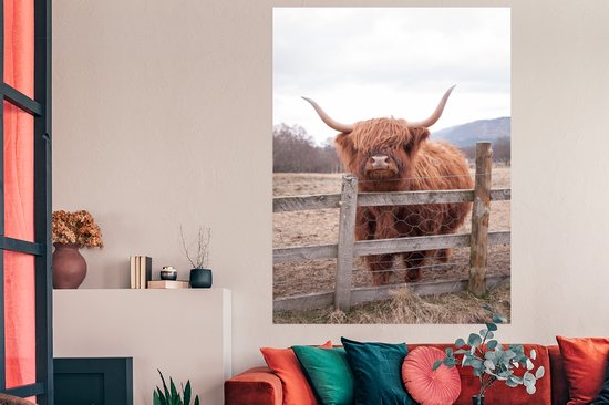 Curious Scottish Highlander poster papier 120x180 cm - Tirage photo sur Poster (décoration murale salon / chambre) / Poster Animaux sauvages XXL / Groot format!