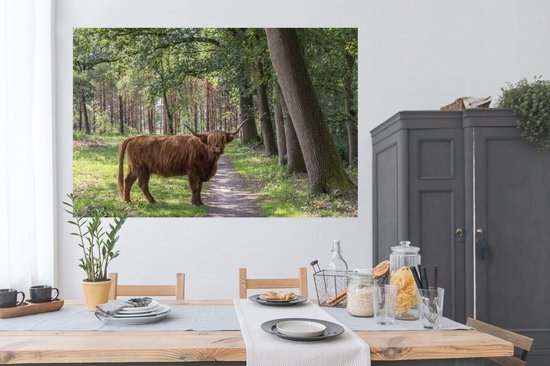 Poster Highlander écossais le long du chemin papier 180x120 cm - Tirage photo sur Poster (décoration murale salon / chambre) / Poster Animaux sauvages XXL / Groot format!