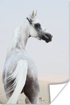 Poster Paard - Zand - Pastel - 60x90 cm