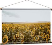 WallClassics - Affiche Textile - Champ plein de Tournesols - 90x60 cm Photo sur Textile