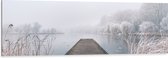 Dibond - Houten Vlonder in de Mist met Grassen - 150x50 cm Foto op Aluminium (Met Ophangsysteem)