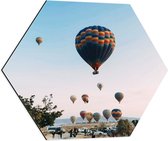 Dibond Hexagon - Veel Luchtballonnen in Licht Roze met Blauwe Lucht - 60x52.2 cm Foto op Hexagon (Met Ophangsysteem)