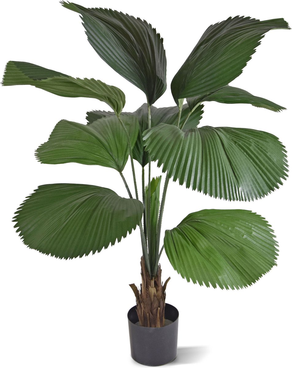 maxifleur Kunstplanten Licuala kunstpalm 115cm Groen