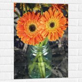 Muursticker - Oranje Gerbera Jamesonii Bloemen - 50x75 cm Foto op Muursticker