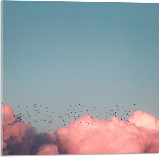 WallClassics - Acrylglas - Zwerm Vogels bij Roze Wolken in Blauwe Lucht - 50x50 cm Foto op Acrylglas (Met Ophangsysteem)