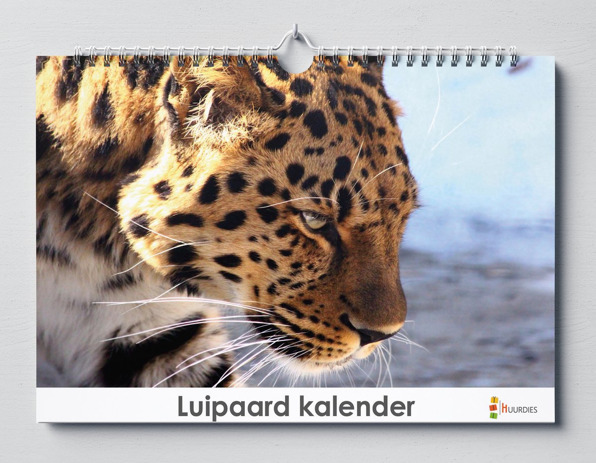 Luipaard kalender - verjaardagskalender - 35x24cm - Huurdies