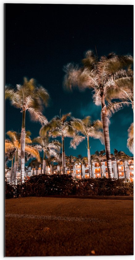 Dibond - Verlichte Palmbomen in Nacht - 50x100 cm Foto op Aluminium (Met Ophangsysteem)