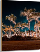 Hout - Verlichte Palmbomen in Nacht - 75x100 cm - 9 mm dik - Foto op Hout (Met Ophangsysteem)