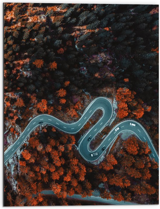 Dibond - Bovenaanzicht van Kronkelweg tussen Bruine en Groene Bomen - 60x80 cm Foto op Aluminium (Met Ophangsysteem)