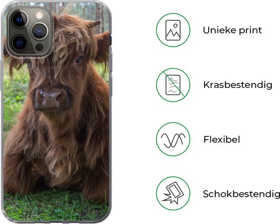Coque iPhone 13 Pro - Highlander écossais - Crapaud - Animaux - Coque de téléphone en Siliconen