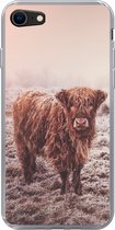 Geschikt voor iPhone 7 hoesje - Schotse Hooglanders - Sneeuw - Zon - Siliconen Telefoonhoesje