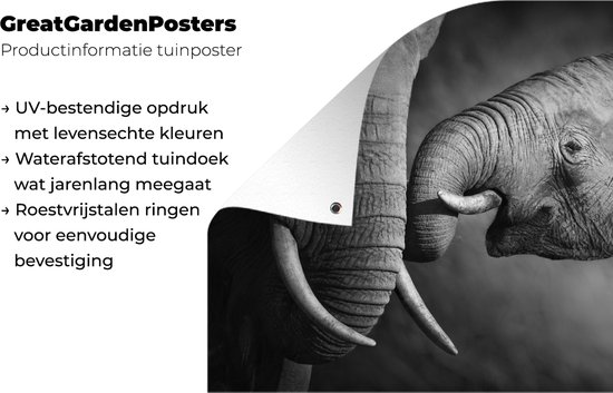 Tableau jardin Animaux sauvages - Éléphant - Zwart - Wit - Portrait - 80x60 cm - Affiche jardin - Toile jardin - Affiche extérieur