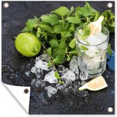 Tuindoek Cocktail - Mojito - Ijsblokjes - 100x100 cm