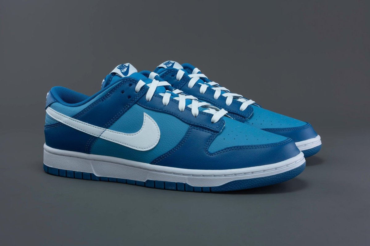 Nike Dunk Low Retro, Blauw Blue , DJ6188 400, EUR 40.5 | bol