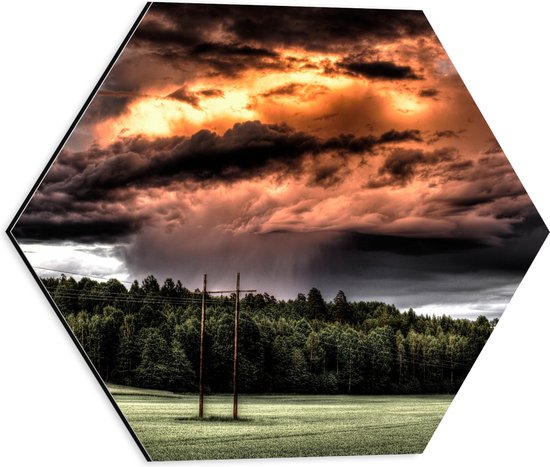 WallClassics - Dibond Hexagon - Zon achter Regenwolken boven Bos - 40x34.8 cm Foto op Hexagon (Met Ophangsysteem)
