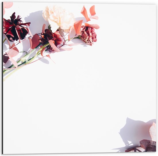 Dibond - Kader van Tak met Roze Bloemen - 50x50 cm Foto op Aluminium (Wanddecoratie van metaal)